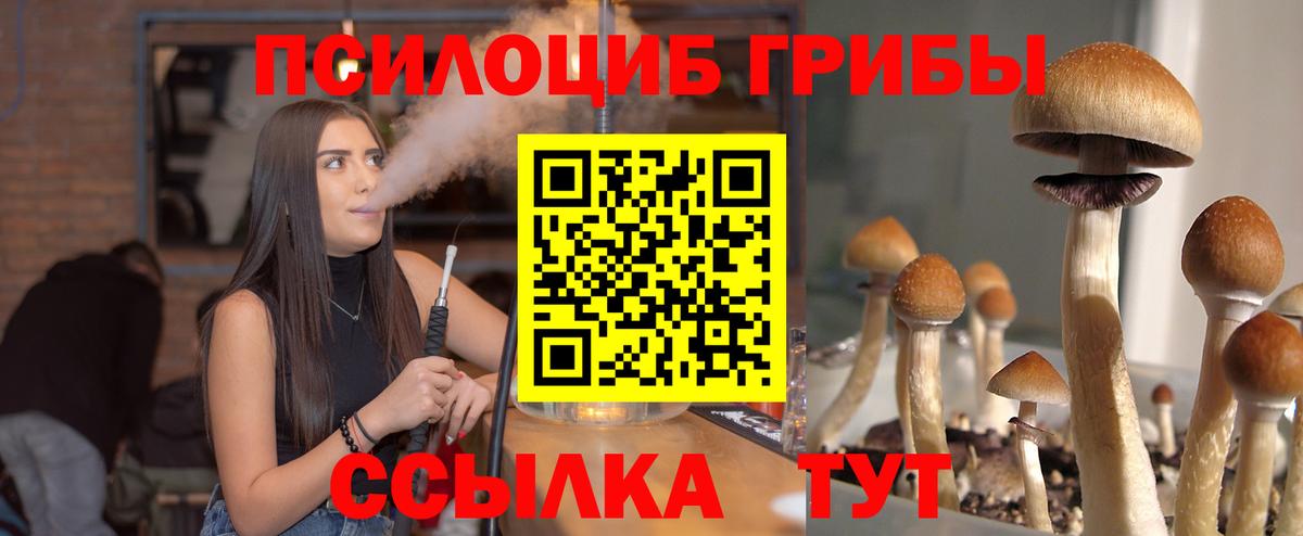 Дзержинский  Галлюциногенные грибы Cubensis  Вход с VPN 